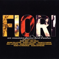 Boom Desjardins - Un musicien parmi tant d'autres