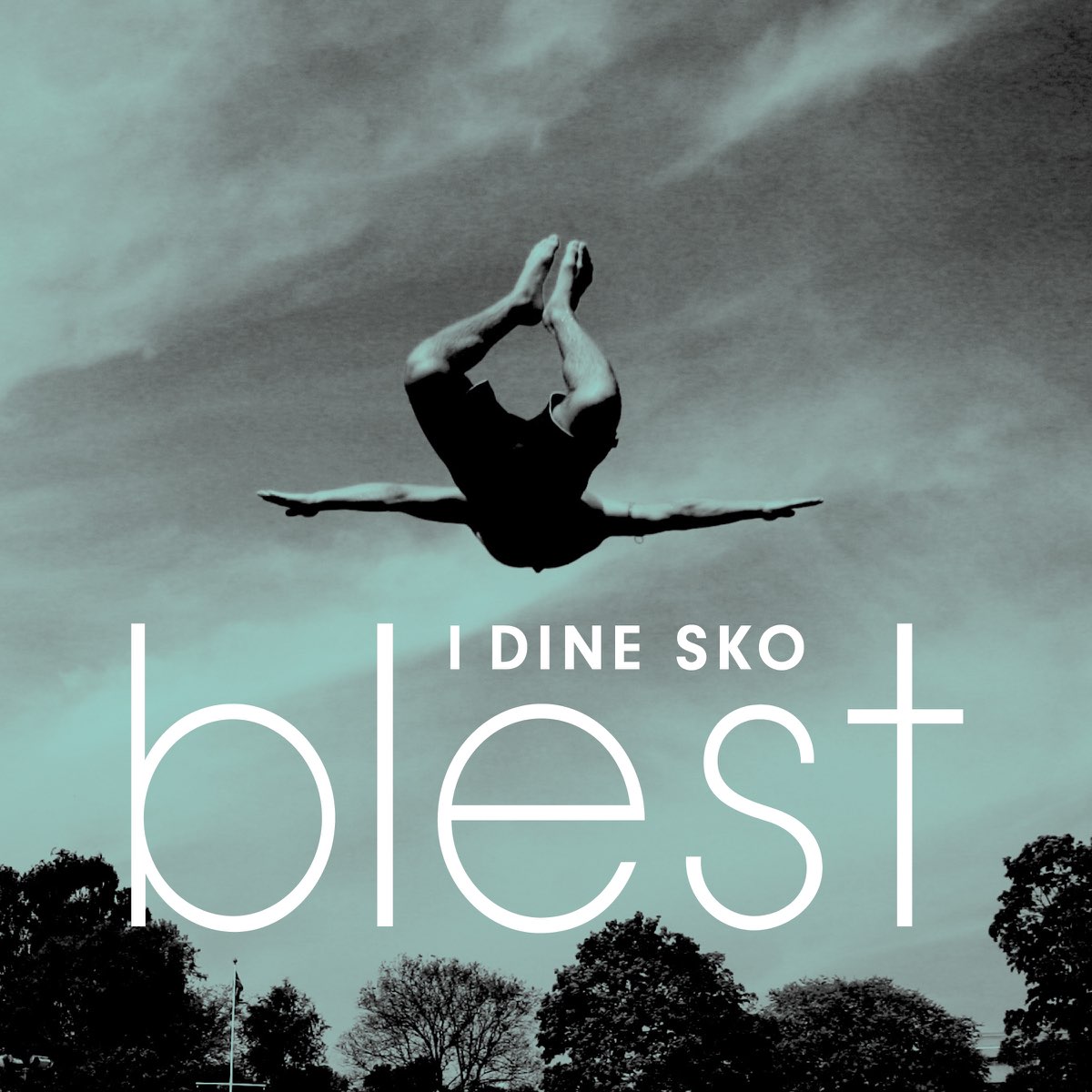 I Dine Sko - Single by Blest on Apple Music