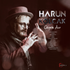 Harun Kolçak - Çeyrek Asır artwork