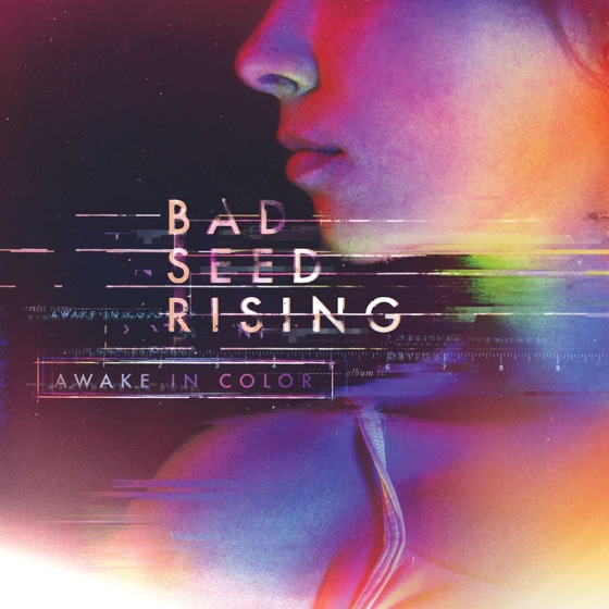 Cover artwork for Obvious