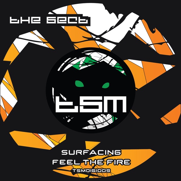 Surfacing / Feel the Fire - Single