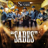 Sabes - Single - Los Hijos Del Señor