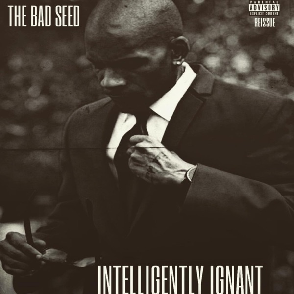 Intelligently Ignant