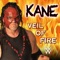 Veil of Fire (Kane) - Jim Johnston lyrics