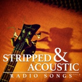 Stripped & Acoustic Radio Songs, Vol. 8 artwork