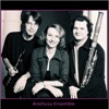Barok Ensemble Trio Sonata in C Minor, Op. 2 No. 1a, HWV 386a: III. Andante Arethusa Ensemble