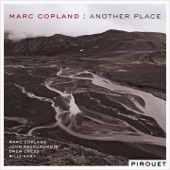 Another Place (feat. John Abercrombie, Drew Gress & Billy Hart) artwork