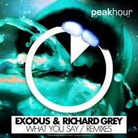 What You Say (Remixes) - EP - Exodus & Richard Grey