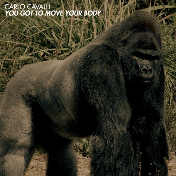 You Got to Move Your Body - Single