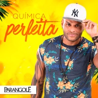 Química Perfeita - Single - Parangolé