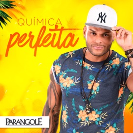 Química Perfeita Parangolé