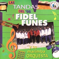 FIdel Funes y Su Marimba Orquesta - Tanda en Homenaje Marimbas Orquestas: La Barranca / Santa Cruz Comitancillo / En la Cumbre / Que Te Ha Dado Esa Mujer / La Hossa / El Paraguas