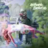 Estranhos Românticos - Estranho Romântico