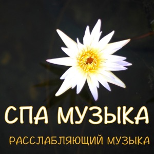 Спа музыка - Расслабляющая музыка для массажа и оздоровительный центр - Звуки природы для стимуляции мозга, улучшения сна - Песни для релаксации и медитации