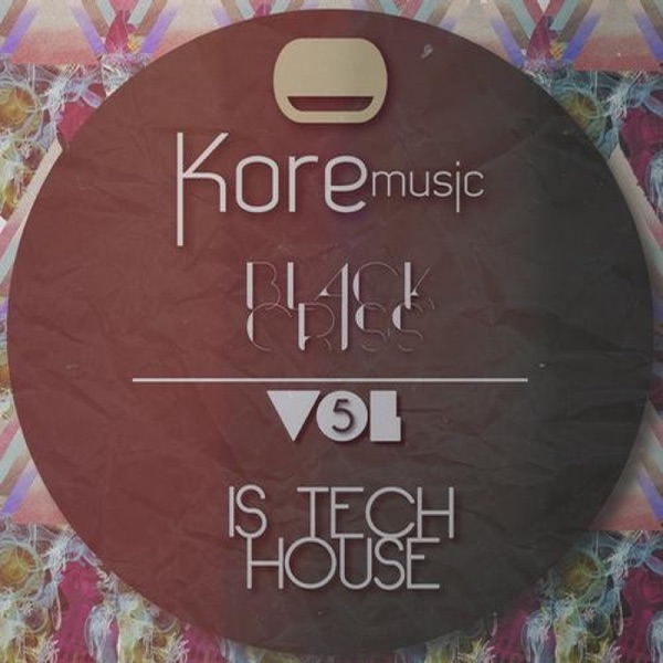 Black Criss Is Tech House Vol. 5 - Single