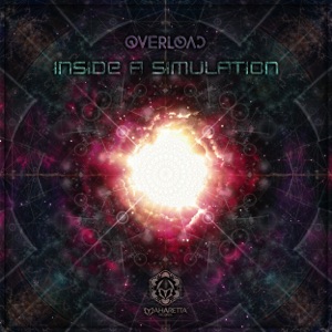 Inside a Simulation - Single