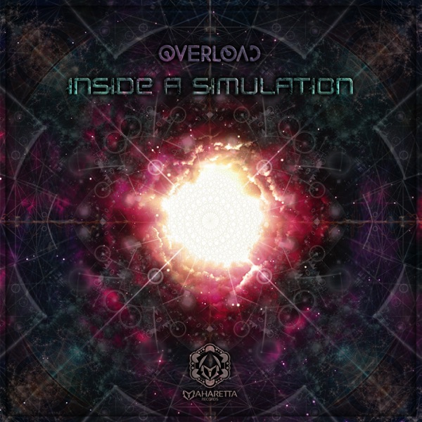 Inside a Simulation - Single