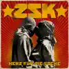 ZSK - Lichterketten