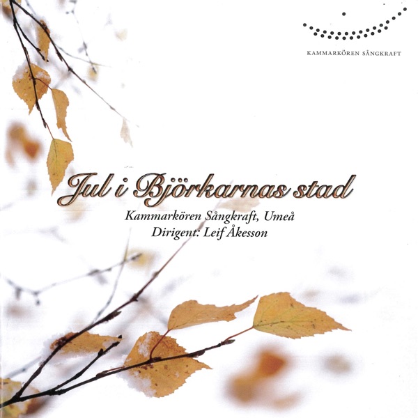Jul I Björkarnas Stad (feat. Jan-Emil Kuisma, Per-Erik Andersson, Örjan Haage, Andreas Olsson, Johanna Brännström & Barnkör från Umeå Musikklasser)
