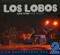 Los Lobos - Hearts of stone