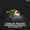 Bold Moments - Carlos Pulido lyrics