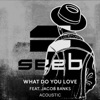 What Do You Love (feat. Jacob Banks) [Acoustic] - Single