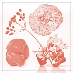 Like a Baby - Single - Starflyer 59 Like a Baby - Single - Starflyer 59