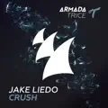 Crush (Radio Edit)