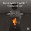 This Invisible World