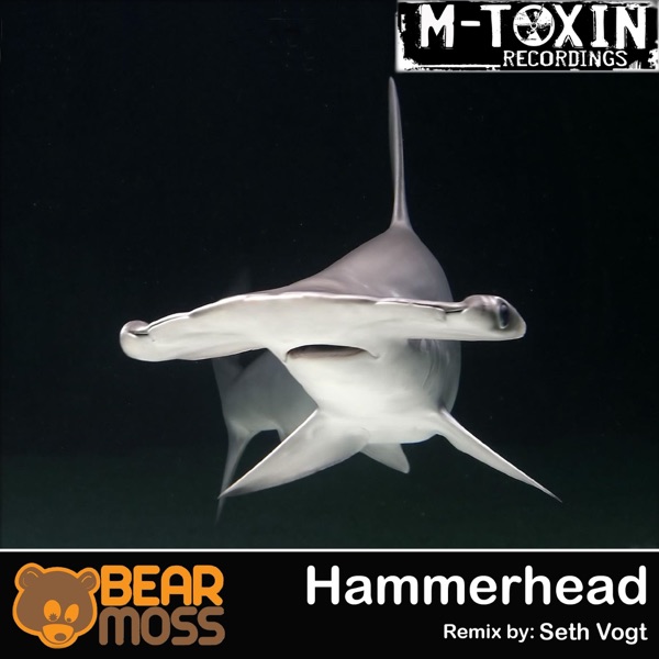 Hammerhead - Single