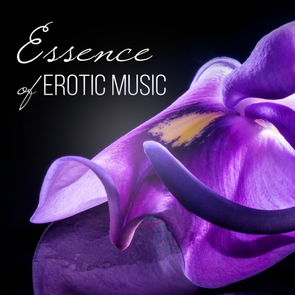 Essence of Erotic Music: Intimate Moments, Hot Foreplay, Love Making Music, Romantic Night, Tantric Sex Chillout, Sensual Massage, Red Passion Lounge