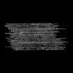 Ty Segall - Cat Black