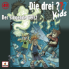 Folge 49: Der singende Geist - Die drei ??? Kids