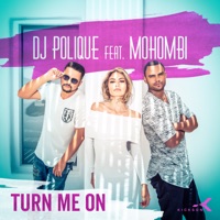 Turn Me On (feat. Mohombi) - DJ Polique