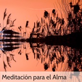 Meditación para el Alma artwork