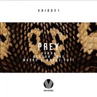 Prey (Wayne & Woods Edit) - Single - Ashton Love & Vhana