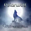 Polarwolf - Mitternachtstraum (Radio Edit)