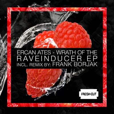 Wrath of the Raveinducer - Single