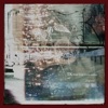 Signal - Single Signal - Single