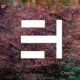 Cryptic Single