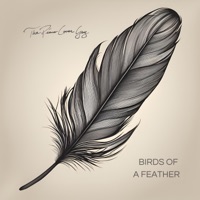BIRDS OF A FEATHER (Piano Version) - Single - The Piano Cover Guy