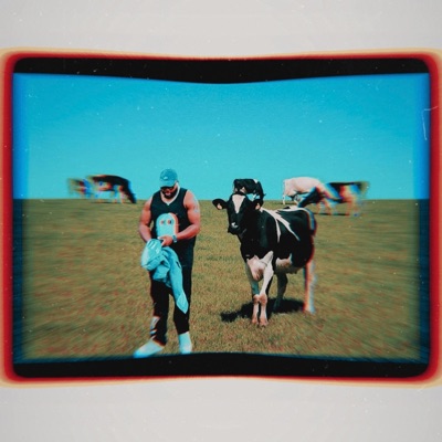 HAVE YOU SEEN THE MILKMAN?