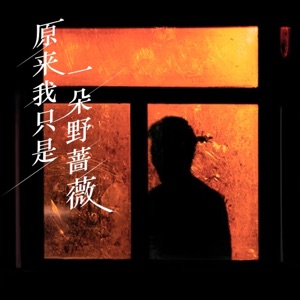 原来我只是一朵野蔷薇 - Single