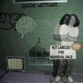 moodsWings Dome Lettuce