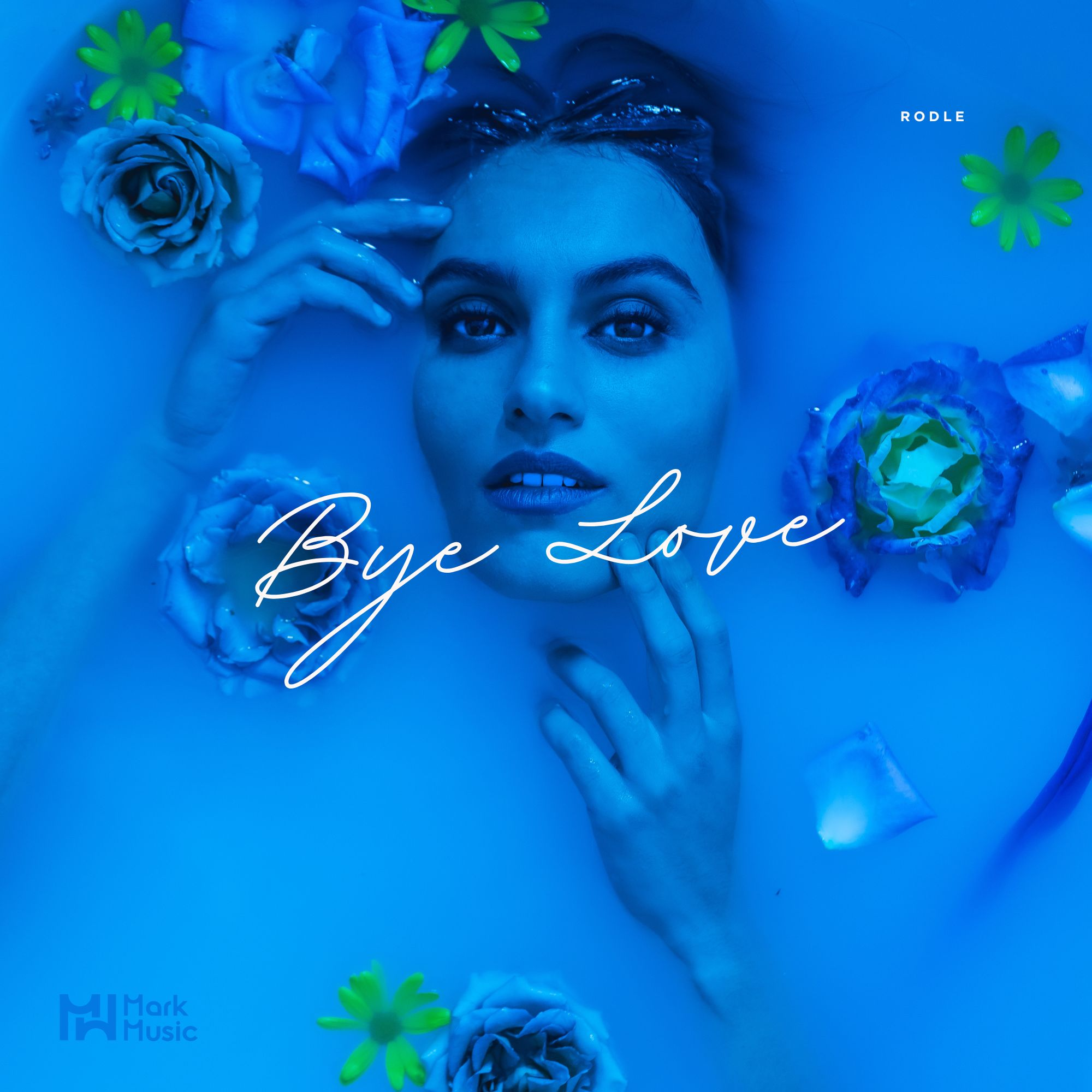 Bye Love - Single