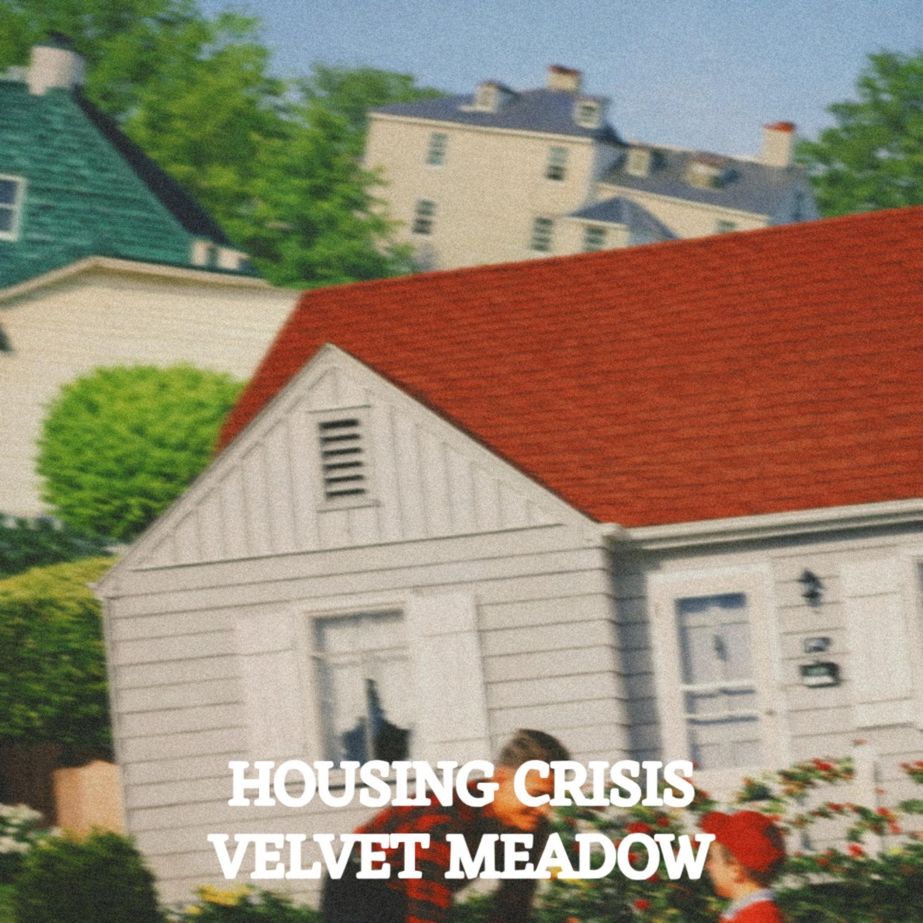 HOUSING CRISIS - Single