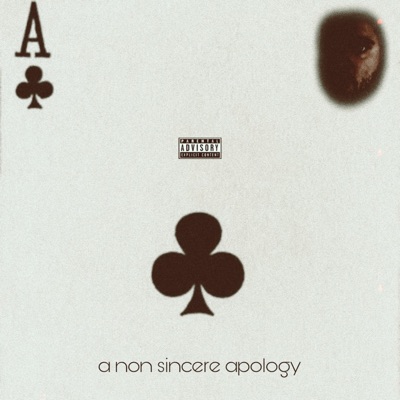 a non sincere apology