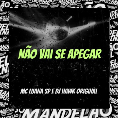 Não Vai Se Apegar - Single