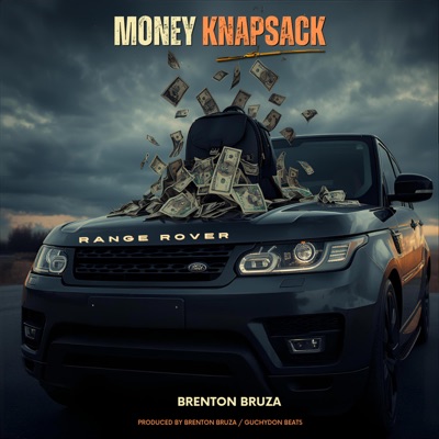 Money knapsack - Single