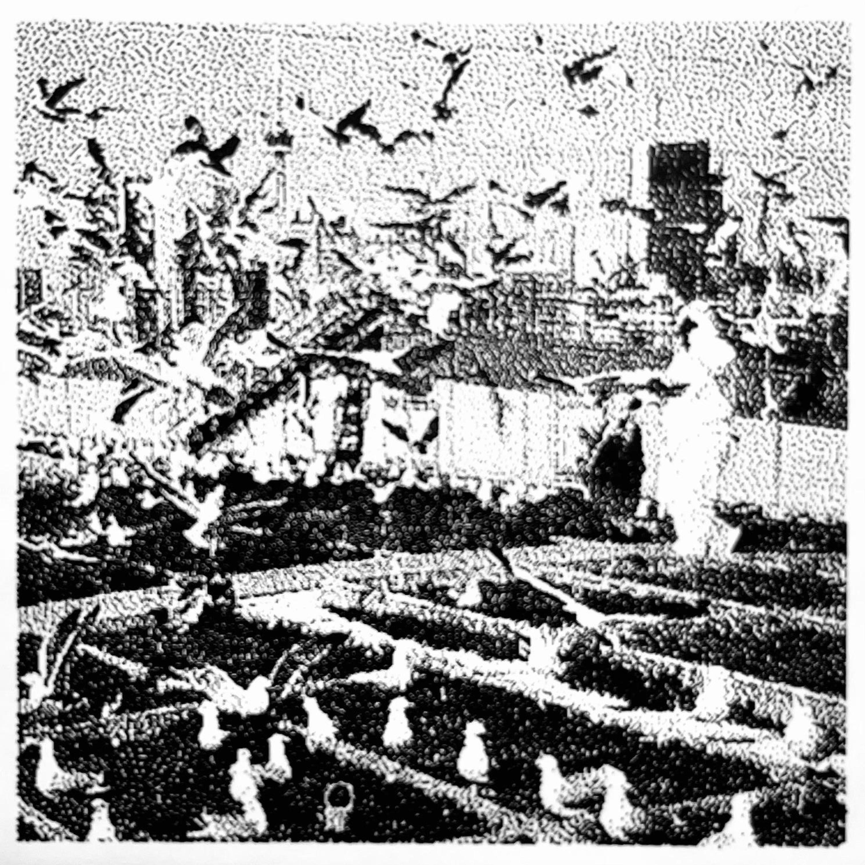 GULL SONGS
